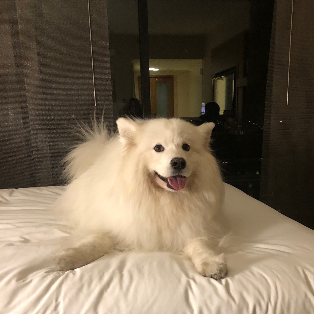 Meet your Posher, Chloe